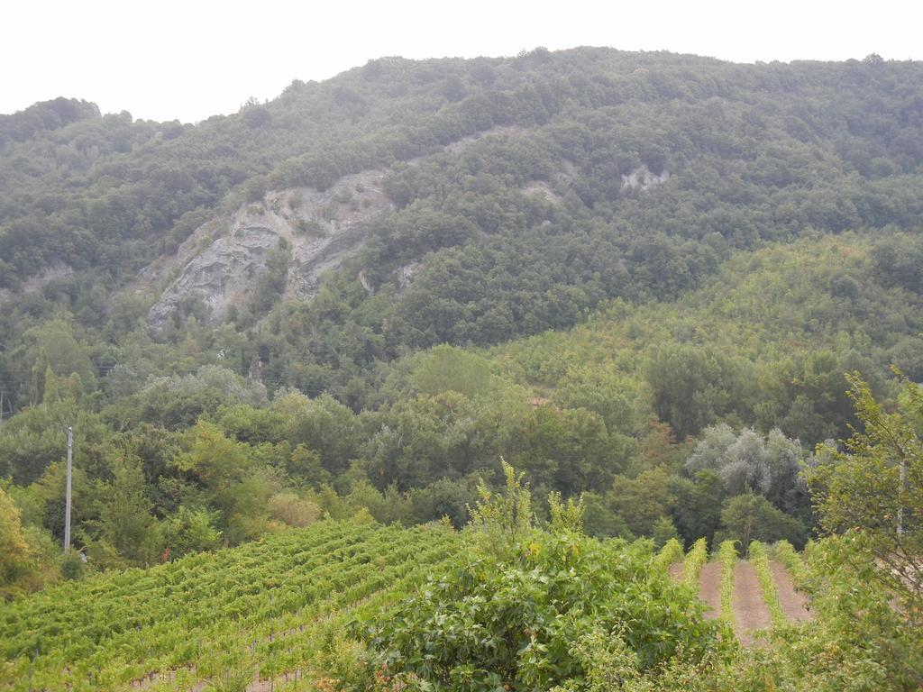 La Colombarola Agriturismo Farneto Bagian luar foto