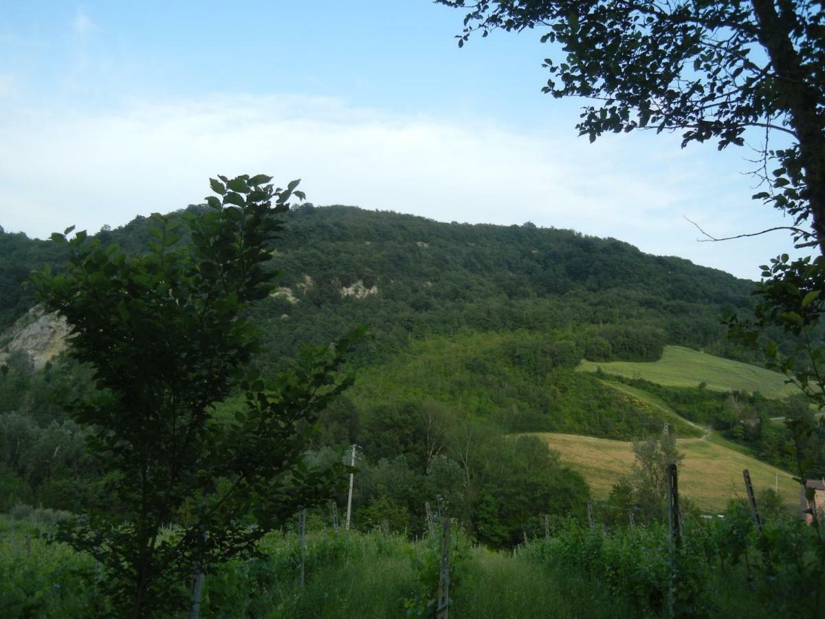 La Colombarola Agriturismo Farneto Bagian luar foto