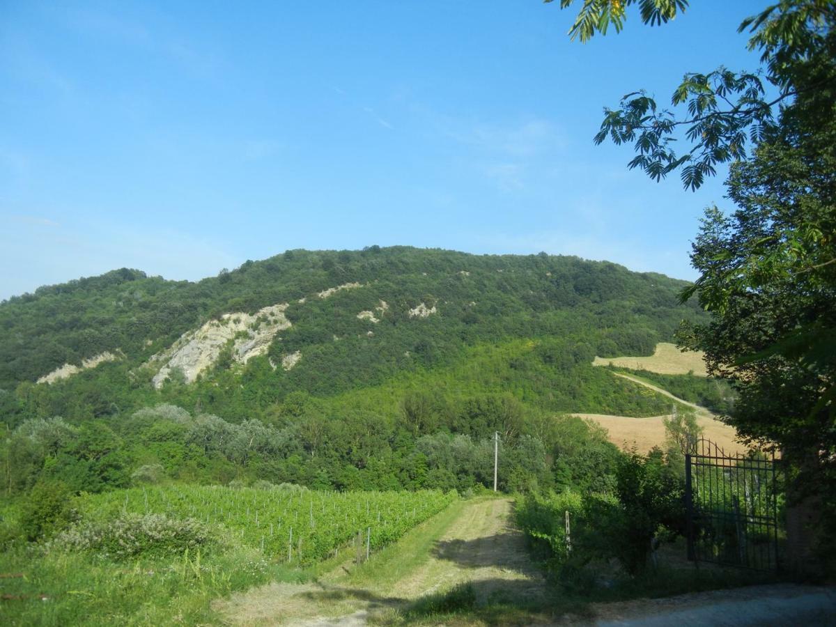 La Colombarola Agriturismo Farneto Bagian luar foto